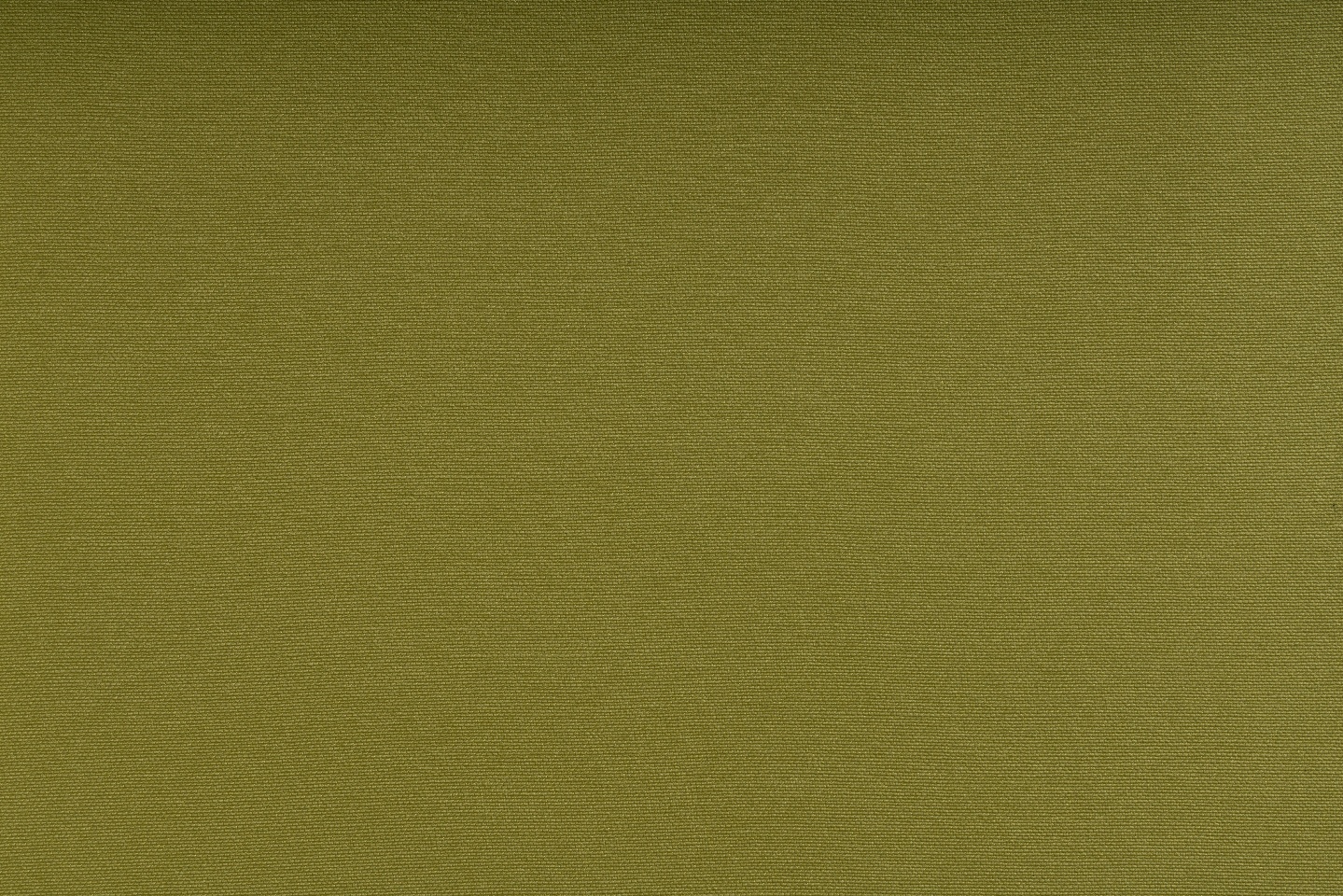 CELERY