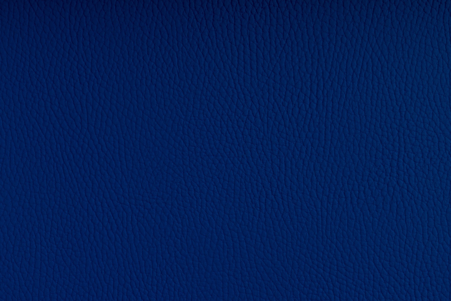 TRUE BLUE