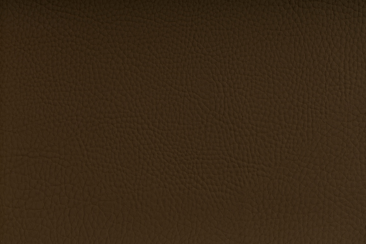 TEAK